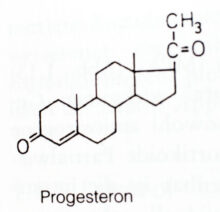 Hormontherapie: Progesteron Infografik